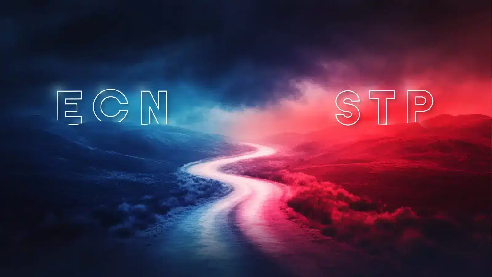 ECN vs STP Brokers: Differences, Similarities, and Operation